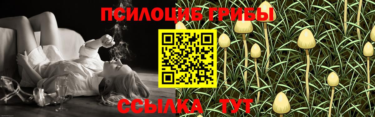 Кириши  Псилоцибиновые грибы ЛСД  Псилоцибиновые грибы ЛСД  купить наркотик  Вход с VPN 