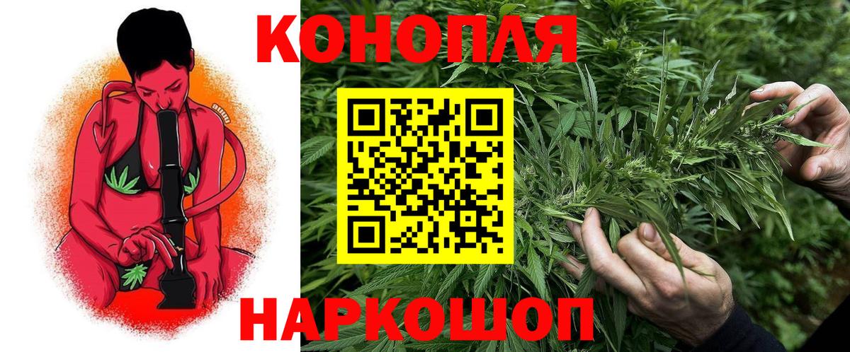 Шишки марихуана план  Бошки Шишки гибрид  Кириши  Канабис Amnesia  Вход с VPN 